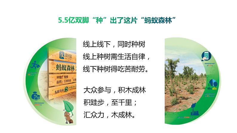 部编版七年级语文上册--13《植树的牧羊人》课件PPT第1页