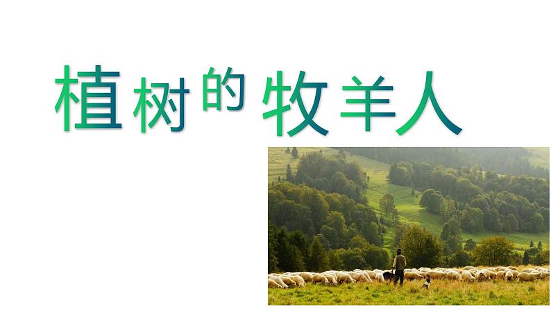 部编版七年级语文上册--13《植树的牧羊人》课件PPT第3页