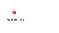 初中语文第五单元16 猫课堂教学课件ppt
