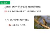 部编版九年级语文上册3《我爱这土地》课件