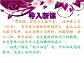 部编版九年级语文上册--二单元综合性学习《君子自强不息》课件PPT
