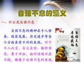 部编版九年级语文上册--二单元综合性学习《君子自强不息》课件PPT