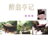 部编版九年级语文上册教学课件--醉翁亭记同步课件