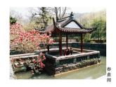 部编版九年级语文上册教学课件--醉翁亭记同步课件