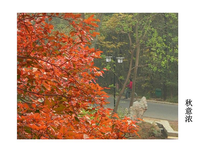 部编版九年级语文上册教学课件--醉翁亭记同步课件第5页