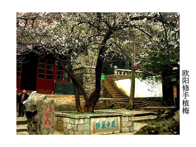 部编版九年级语文上册教学课件--醉翁亭记同步课件第7页