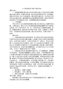 初中语文人教部编版九年级上册16 我的叔叔于勒教案