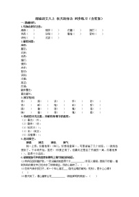 初中语文人教部编版七年级上册5 秋天的怀念巩固练习