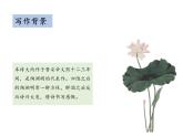 部编版八年级语文上册--第六单元 26.1 饮酒（其五） （教学课件）
