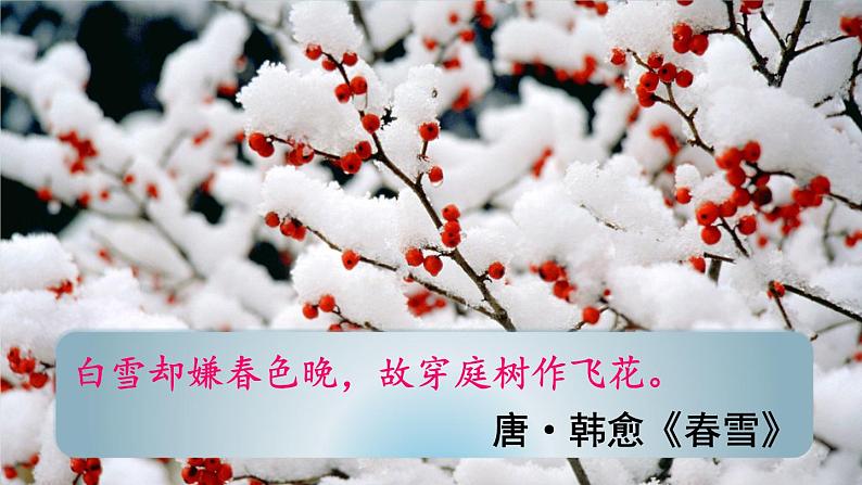 1 沁园春·雪1课件PPT第4页