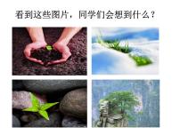 语文第四单元16* 散文二篇永久的生命教学ppt课件