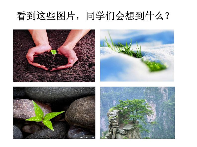 《永久的生命》课件2021-2022学年部编版语文八年级上册第1页