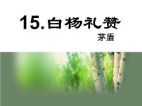 初中语文人教部编版八年级上册14 白杨礼赞说课课件ppt