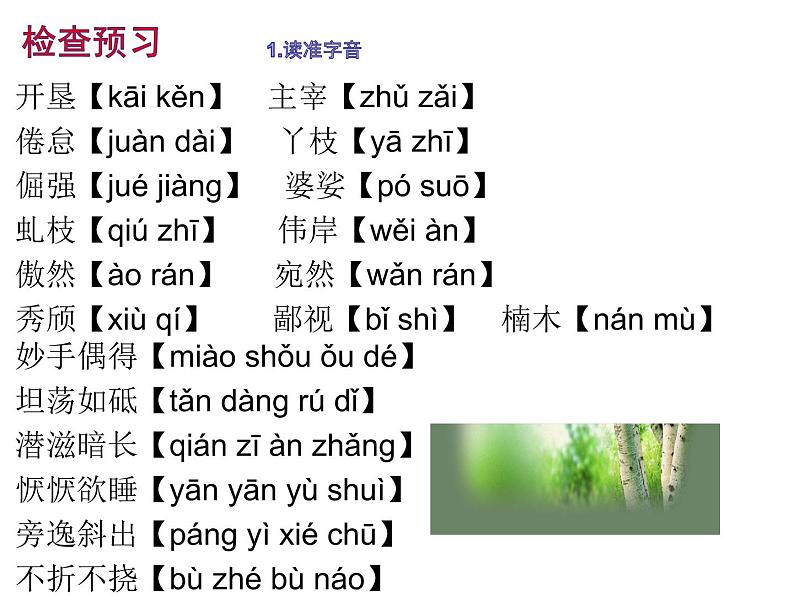 第15课《白杨礼赞》课件（共34张ppt）2021-2022学年部编版语文八年级上册(1)06