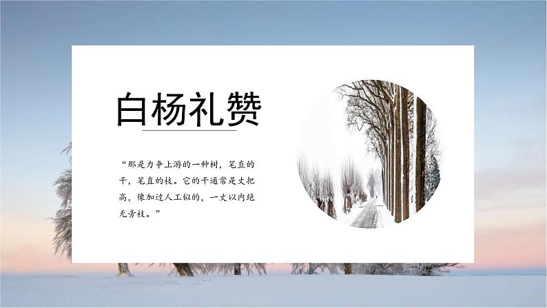 《白杨礼赞》课件PPT+教案+练习01