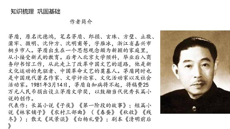 《白杨礼赞》课件PPT+教案+练习02