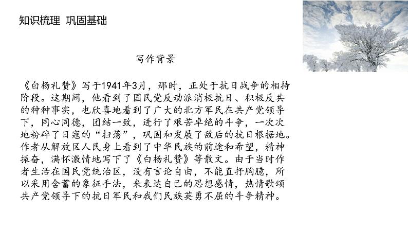 《白杨礼赞》课件PPT+教案+练习03