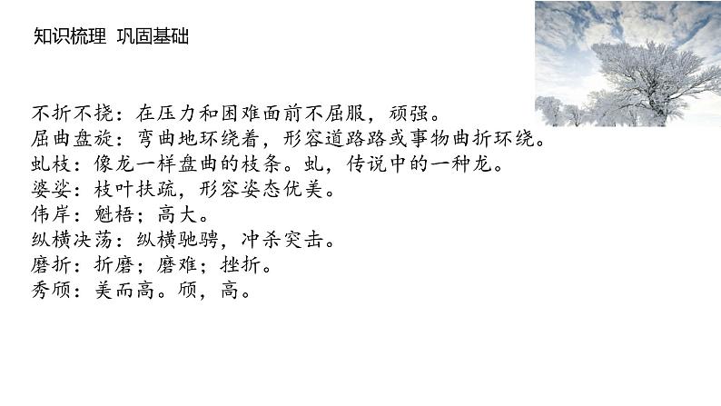 《白杨礼赞》课件PPT+教案+练习07