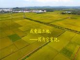 2021年初中语文 人教部编版 九年级上册 第一单元 3 我爱这土地课件PPT