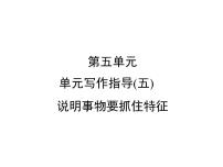 初中人教部编版写作 说明事物要抓住特征习题ppt课件