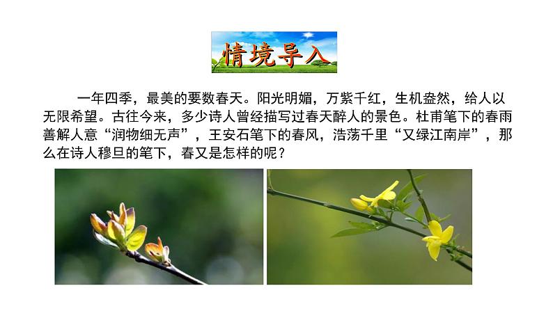 1.5我看 课件 2021-2022学年部编版（五四学制）语文九年级上册08