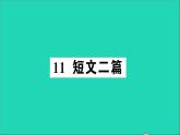 八年级语文上册第三单元11短文二篇作业课件新人教版