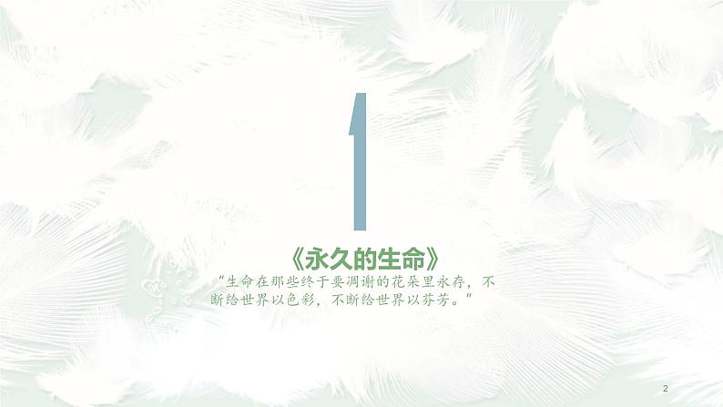 《散文二篇》课件PPT+教案+练习02