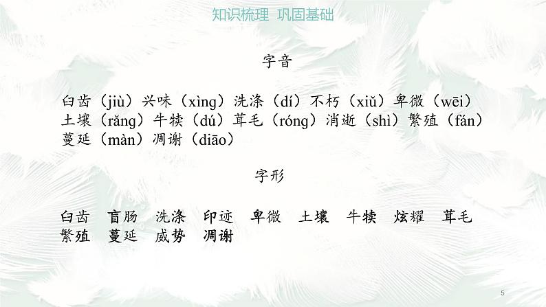 《散文二篇》课件PPT+教案+练习05
