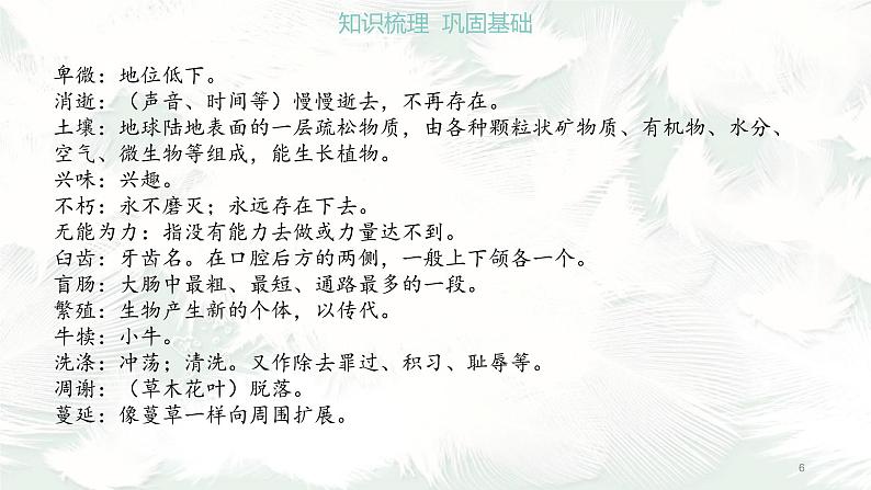 《散文二篇》课件PPT+教案+练习06
