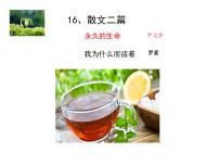 初中语文人教部编版八年级上册16* 散文二篇综合与测试多媒体教学课件ppt