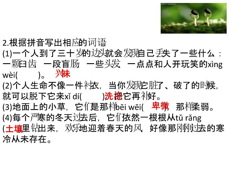 第16课《散文二篇》课件（共33张PPT）2021—2022学年部编版语文八年级上册第6页