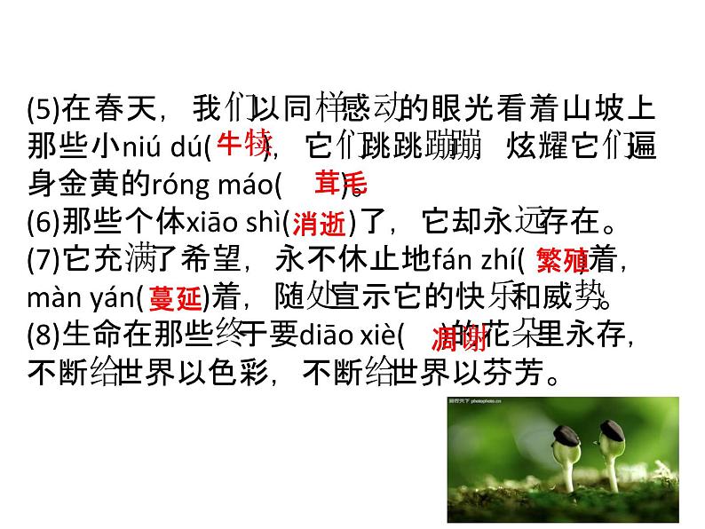 第16课《散文二篇》课件（共33张PPT）2021—2022学年部编版语文八年级上册第7页