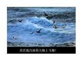 1.4 海燕 课件 2021-2022学年部编版（五四学制）语文九年级下册