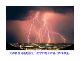 1.4 海燕 课件 2021-2022学年部编版（五四学制）语文九年级下册