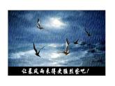 1.4 海燕 课件 2021-2022学年部编版（五四学制）语文九年级下册