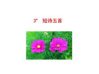 人教部编版九年级下册3* 短诗五首综合与测试评课课件ppt