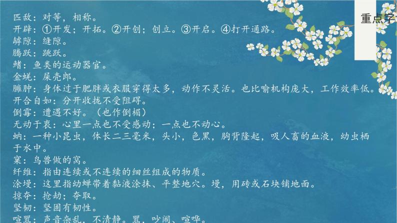 《蝉》课件PPT+教案+练习08