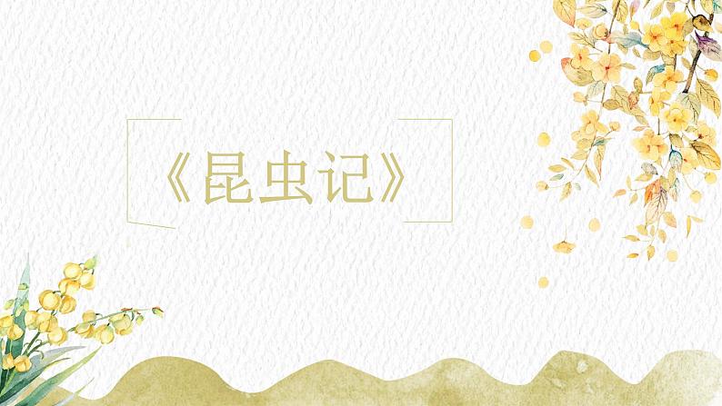 名著导读：《昆虫记》课件PPT+教案+练习01