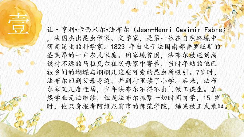 名著导读：《昆虫记》课件PPT+教案+练习03