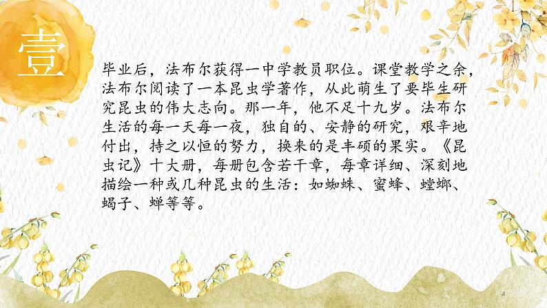 名著导读：《昆虫记》课件PPT+教案+练习04