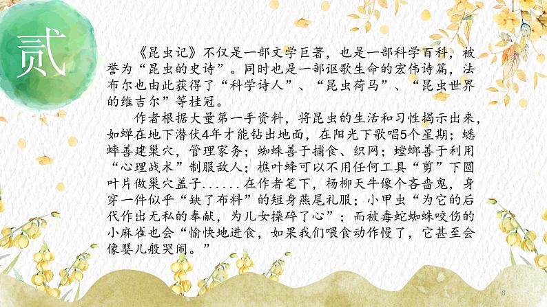 名著导读：《昆虫记》课件PPT+教案+练习06