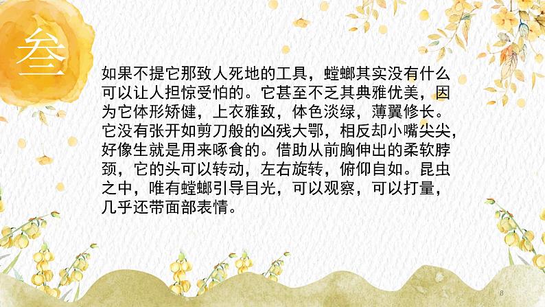 名著导读：《昆虫记》课件PPT+教案+练习08