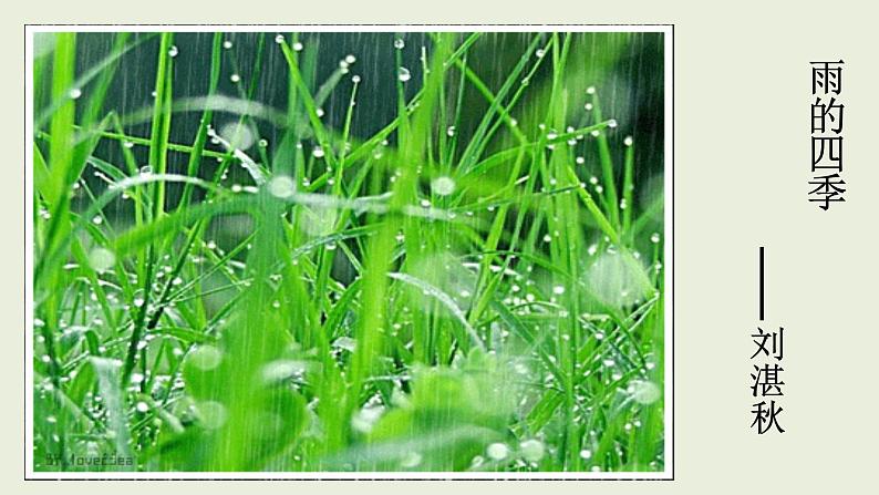 部编版七年级上册语文3《雨的四季》课件PPT01