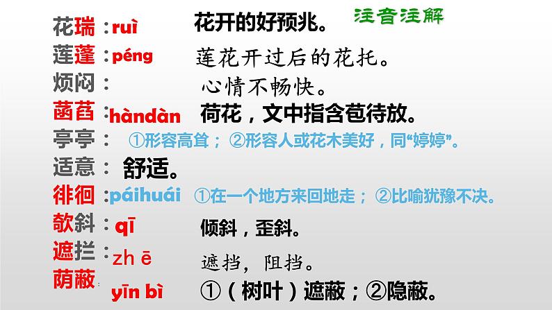 部编版七年级上册语文7《散文诗二首》（荷叶母亲）课件PPT03