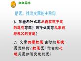 部编版七年级上册语文7《散文诗二首》（荷叶母亲）课件PPT