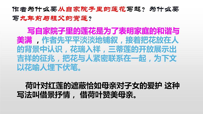 部编版七年级上册语文7《散文诗二首》（荷叶母亲）课件PPT06