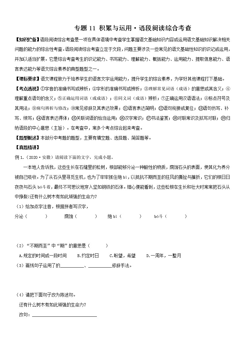 2021中考语文 专题11 积累与运用 语段阅读综合考查（原卷版）第1页