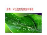 第三单元写作《学习描写景物》课件2021-2022学年人教部编版语文八年级上册