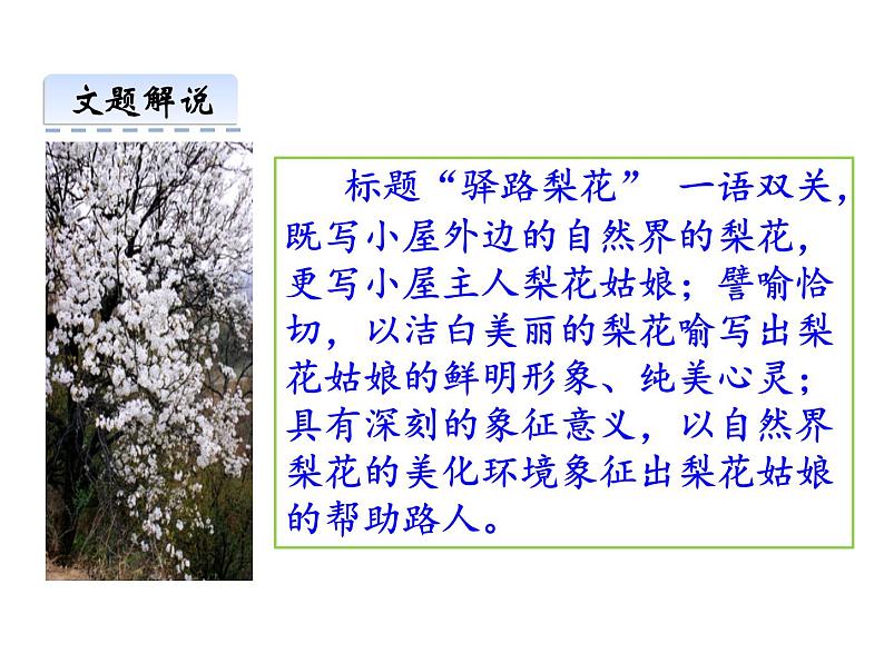 部编本七年级语文下册第15课《驿路梨花》（40张PPT）课件PPT第6页