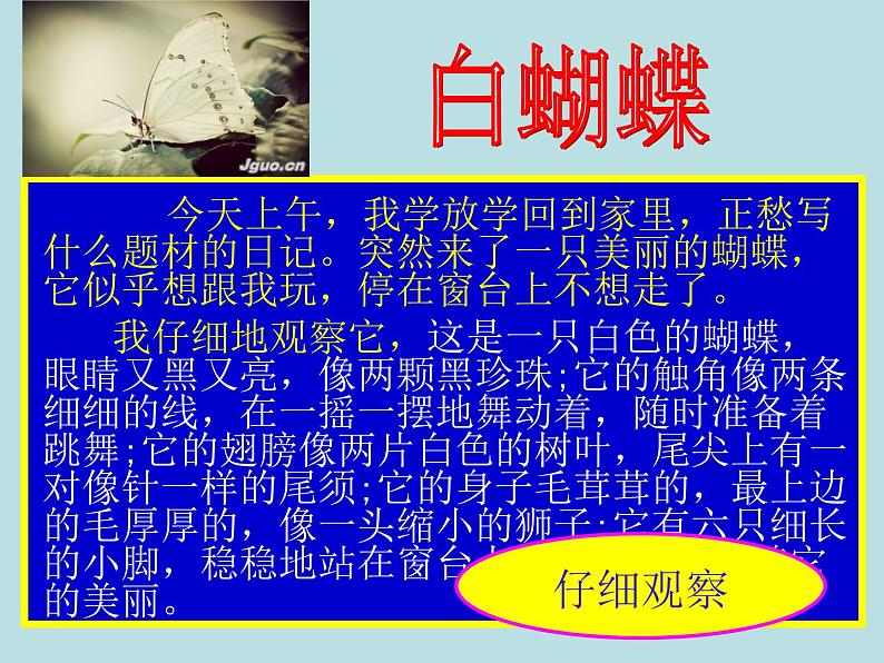 初中记叙文写作训练基础篇（3）（积累词语）课件PPT05